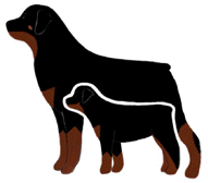 Rottweiler Graphic - (c) 1999 On Task Technologies